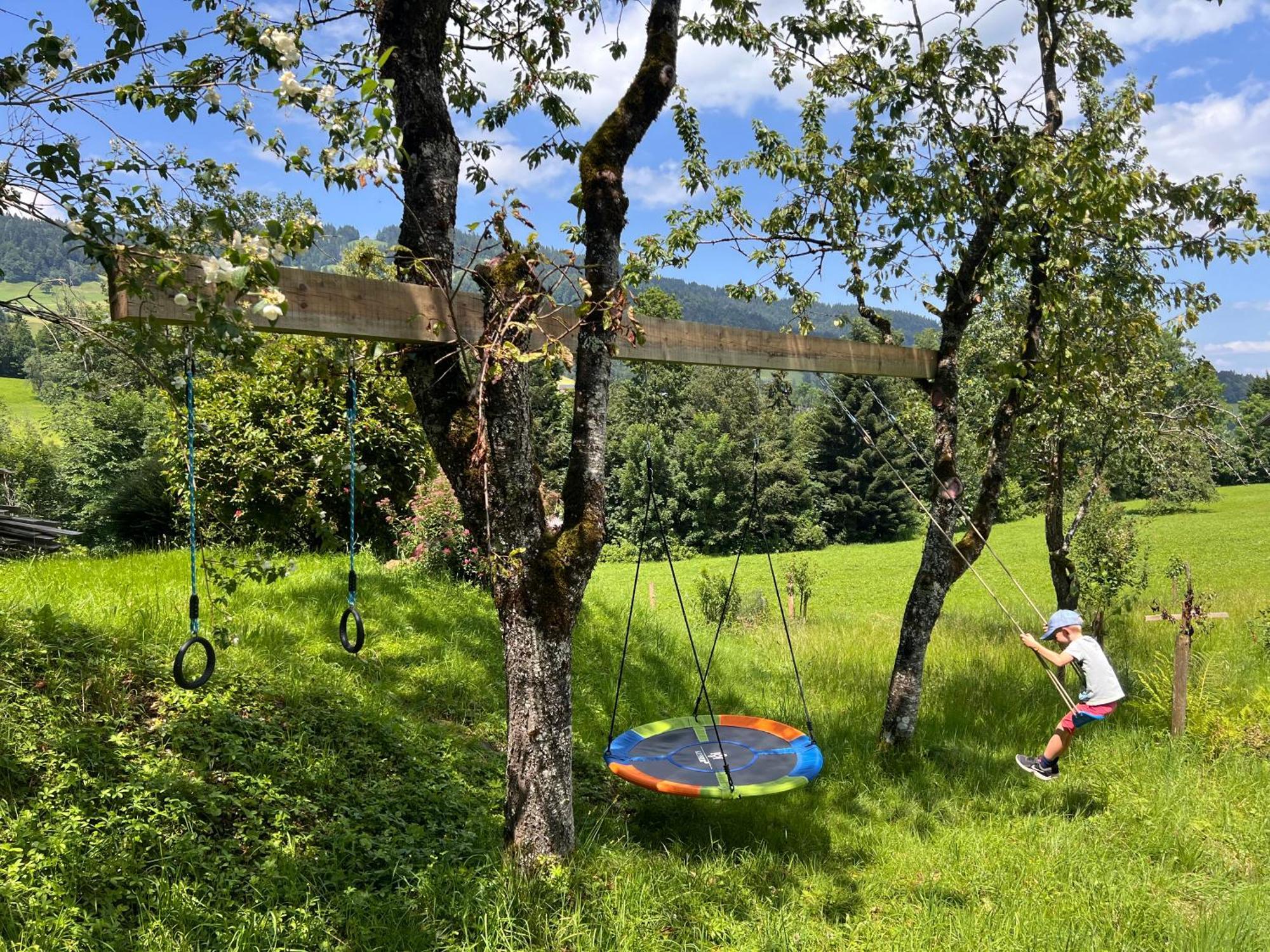 Wiesen Appartment Schwarzenberg im Bregenzerwald Εξωτερικό φωτογραφία